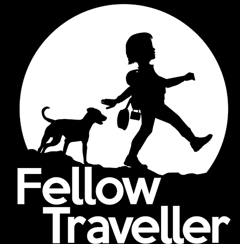 Fellow Traveller
